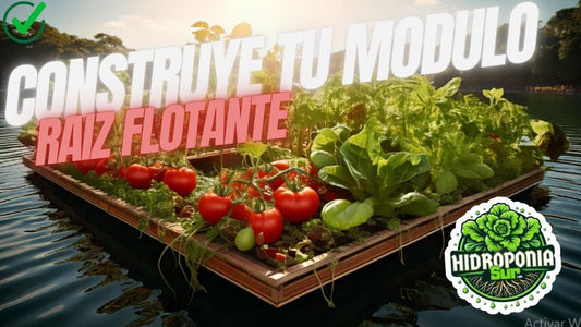 Construye tu modulo de sistema de raiz flotante hidroponia con vegetales frescos en un entorno natural