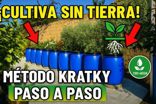 Guía visual del metodo Kratky bidones para cultivar sin tierra de forma sencilla
