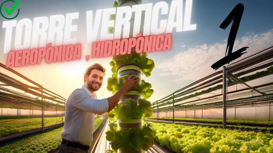 Tecnica de cultivo en torre vertical con lechugas en un invernadero moderno