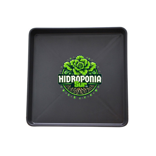 Bandeja de cultivo Raiz flotante de Hidroponiasur para el cultivo eficiente de plantas